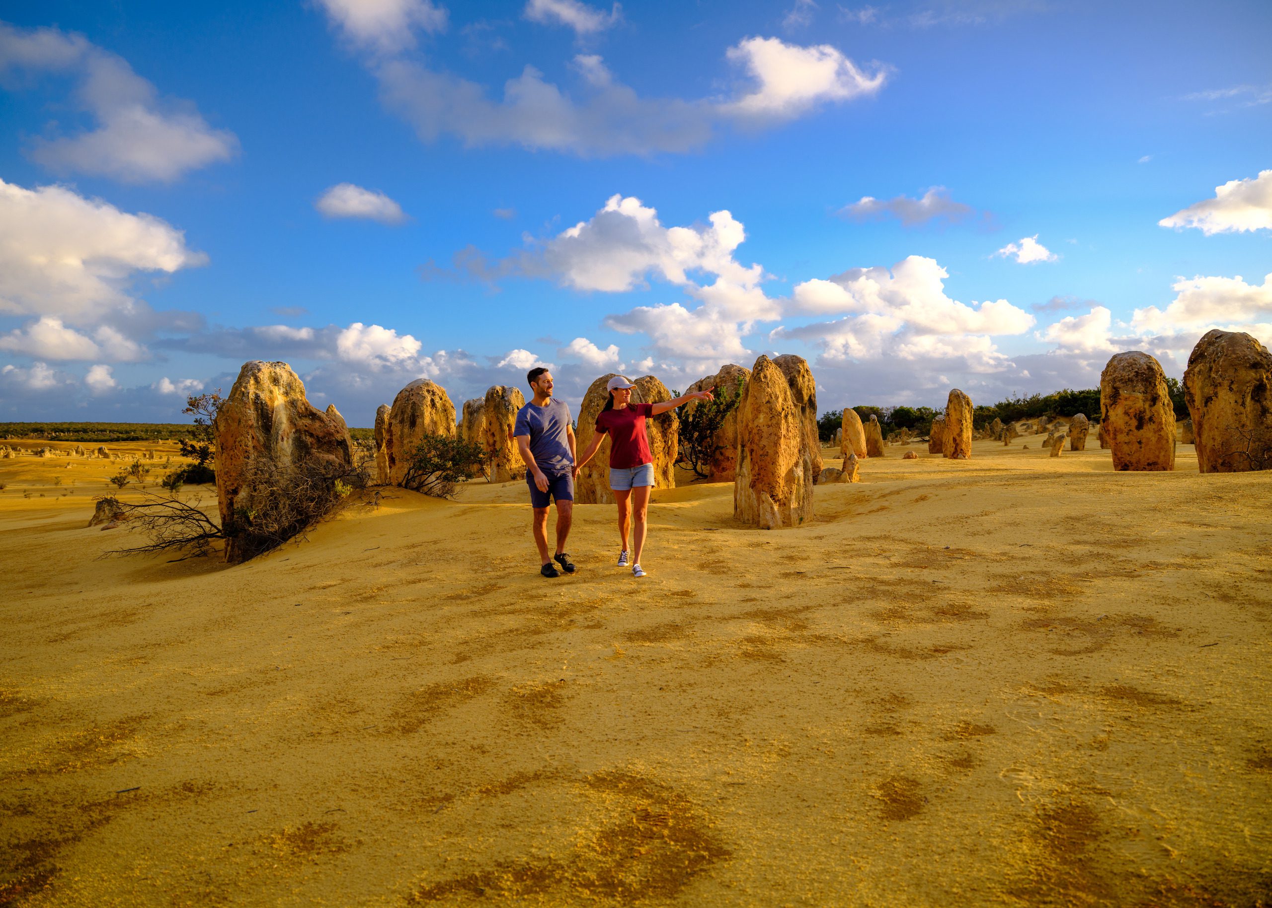 The Pinnacles, Nambung National Park