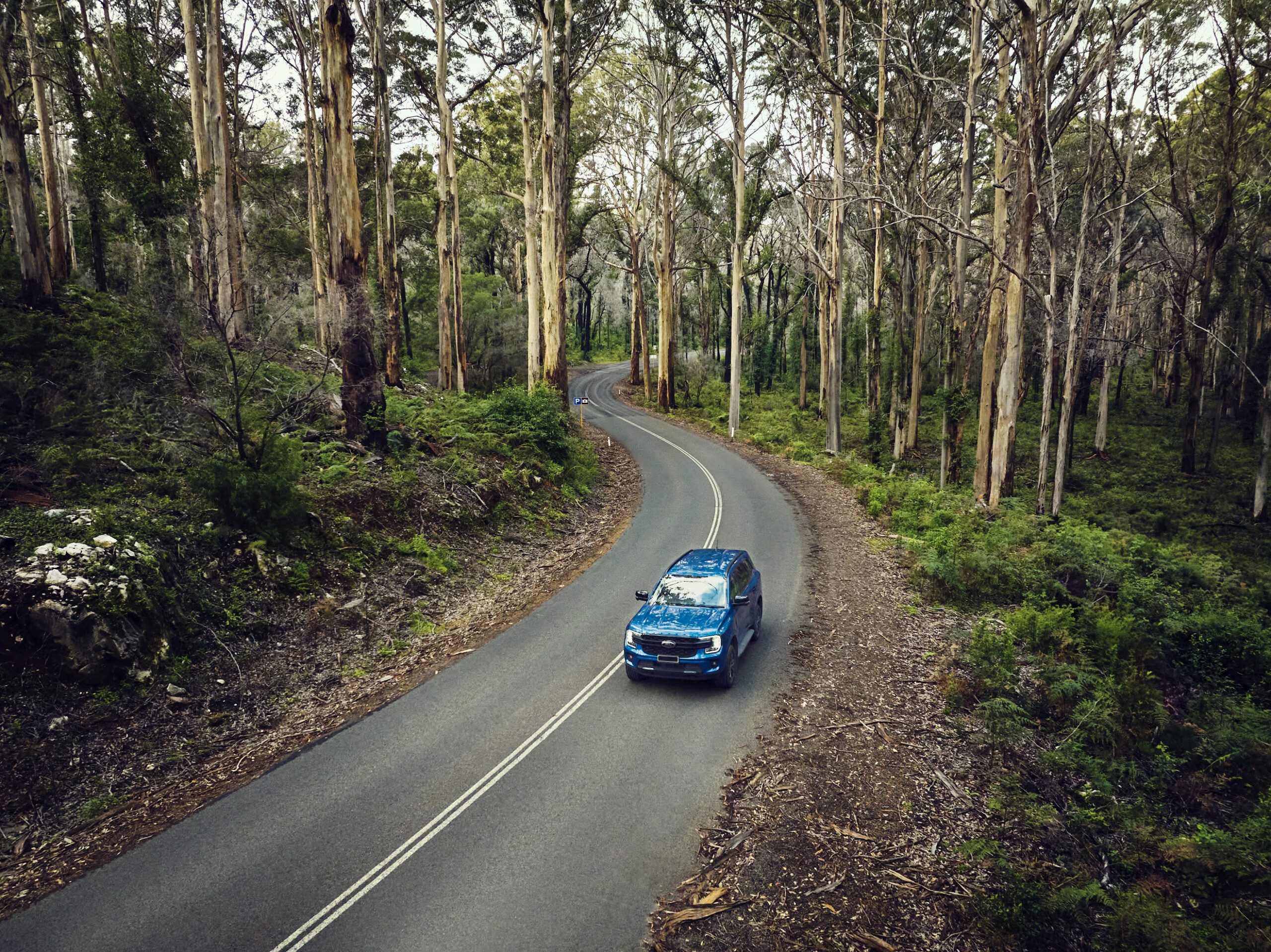 Aerial view of car driving through Boranup Forest in the Margaret River Region.