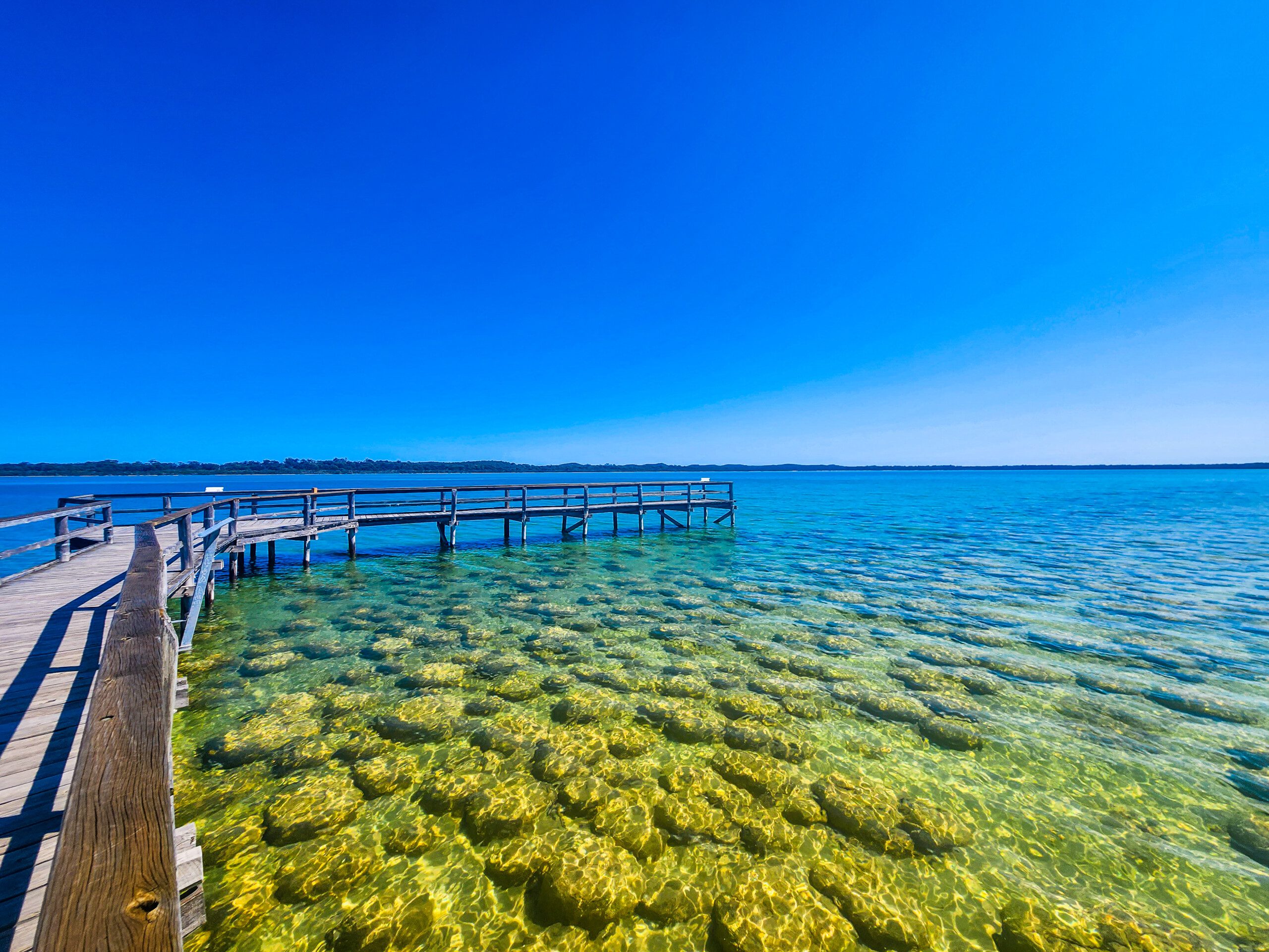 Lake Clifton Thrombolites