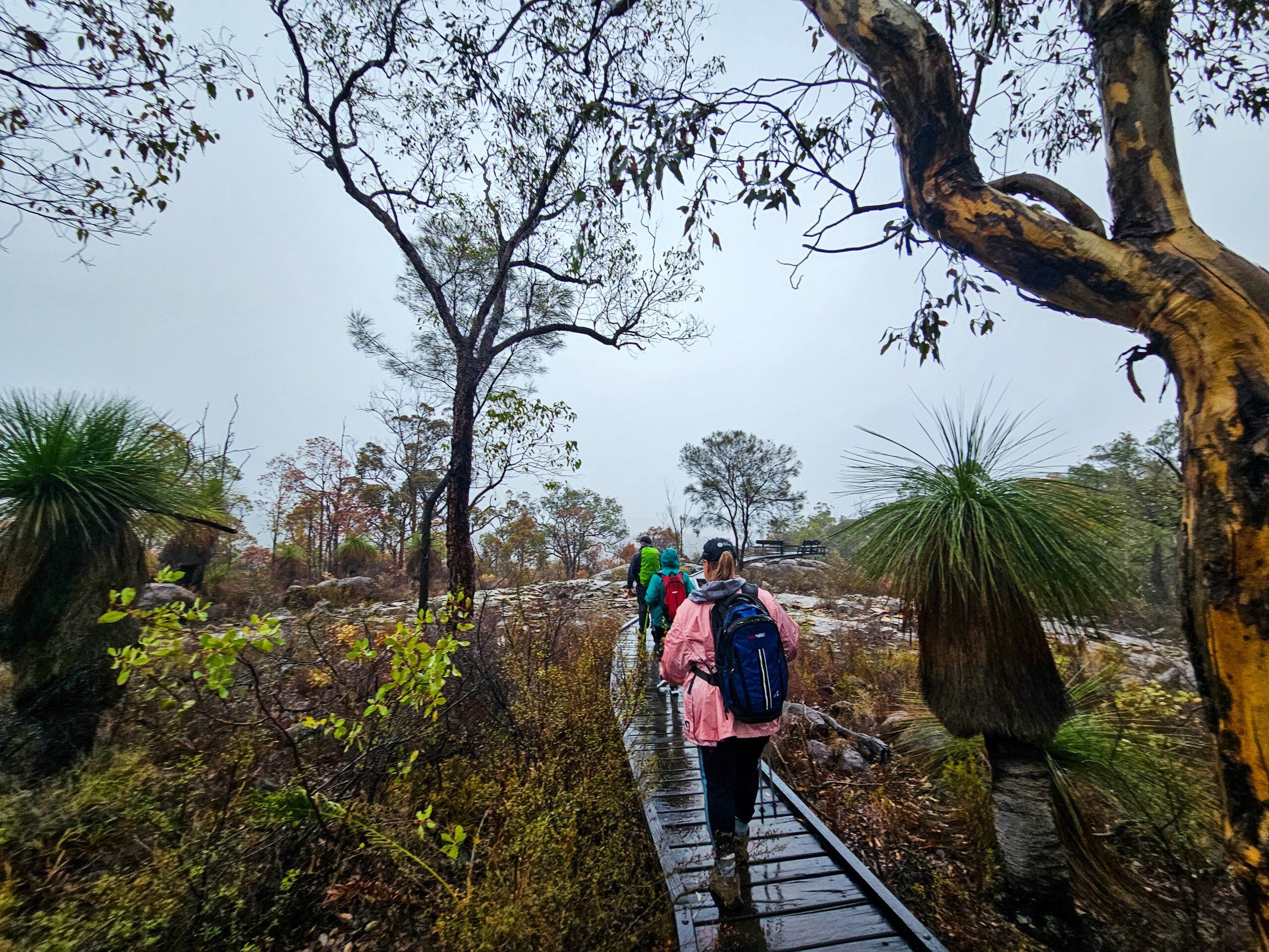 Numbat Trail