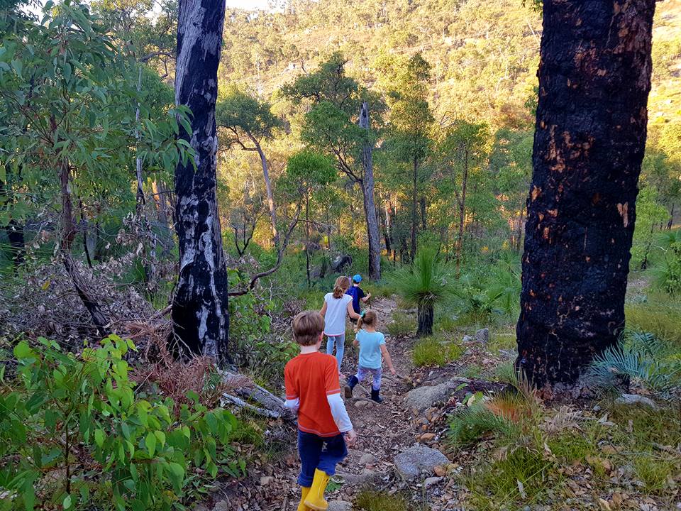 Family Adventure Collective Hiking