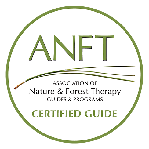 ANFT Certified Guide Nature and Therapy Guide - Chelle Fisher