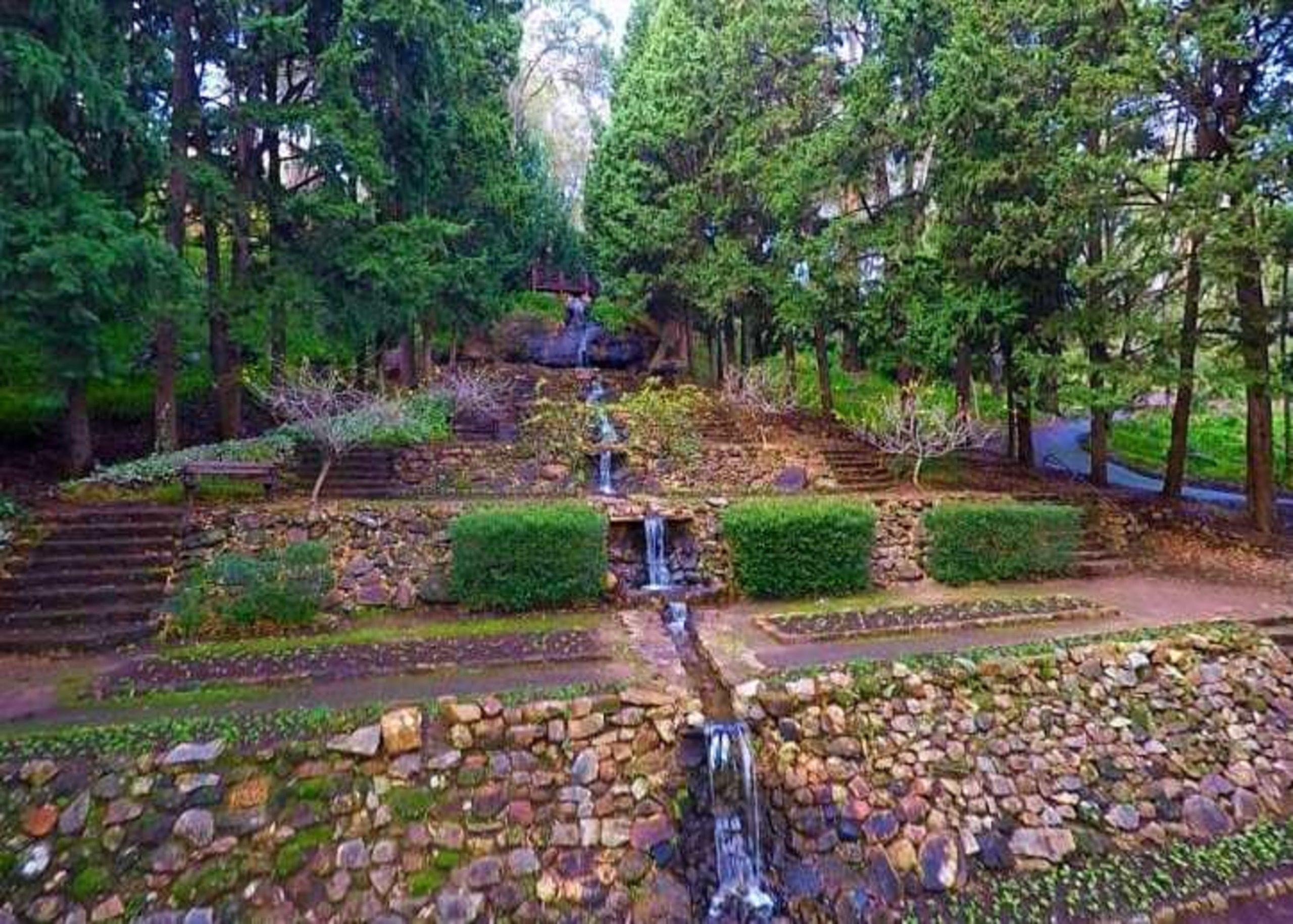 Araluen-Botanic-Park-9-min (1)