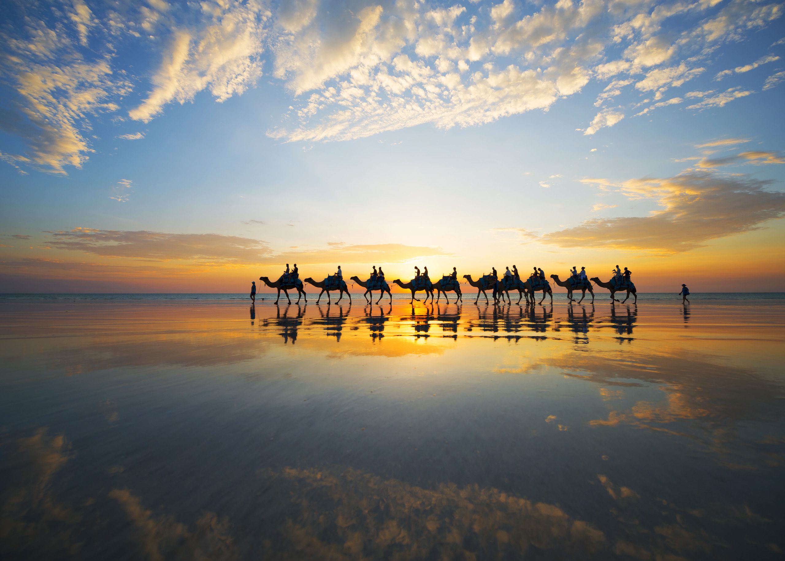 Camels at sunset on Cable Beach, Broome - Credit Lauren Bath