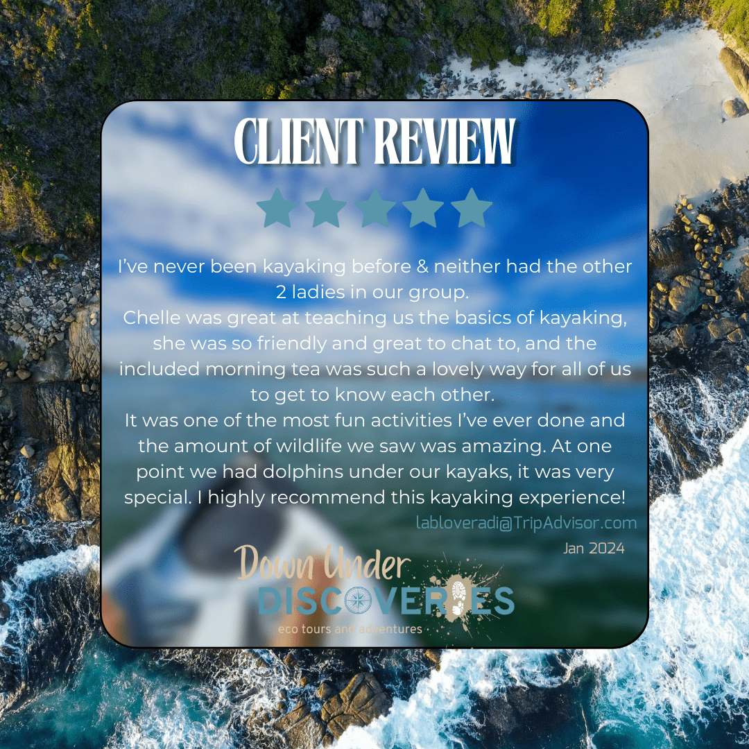 Client Review 3