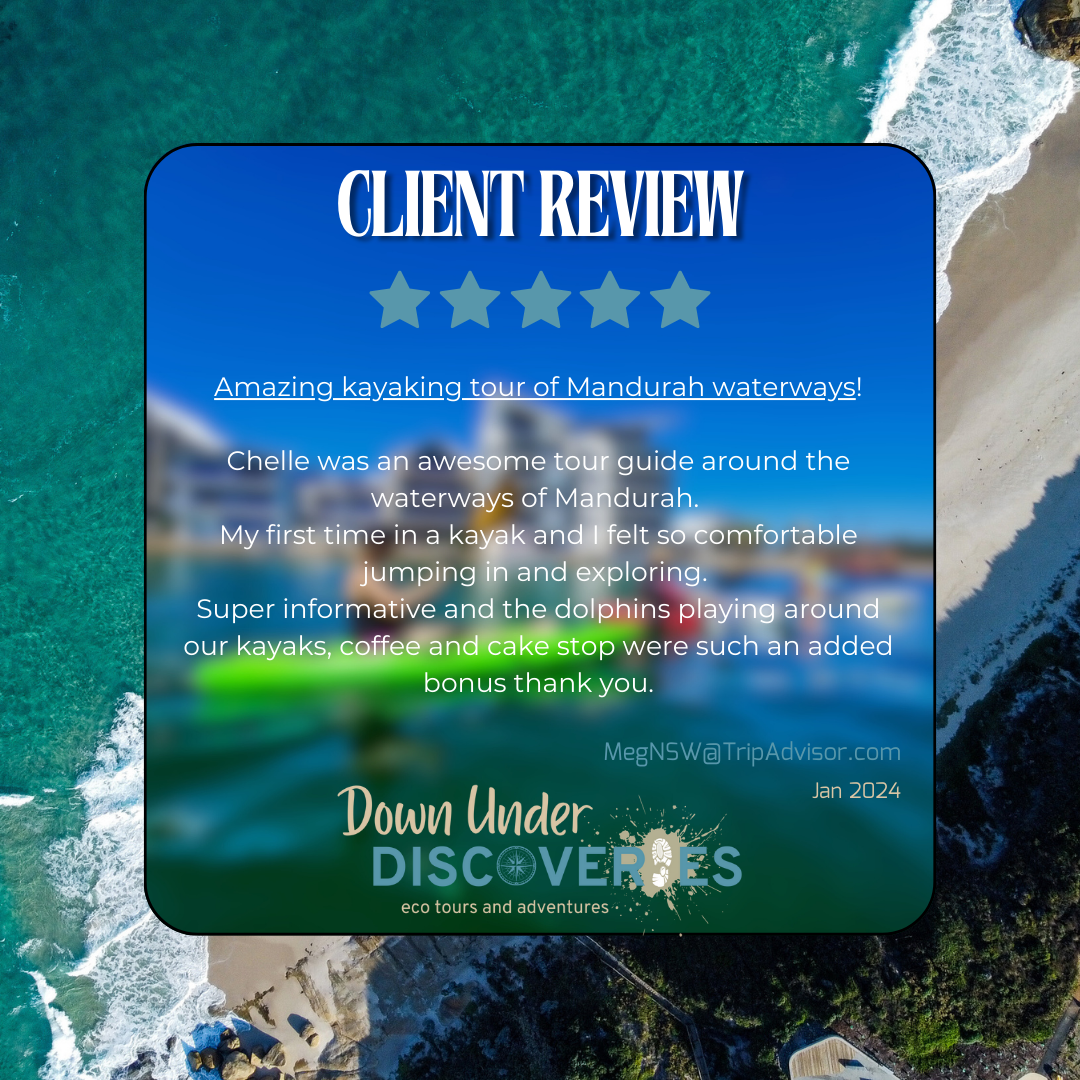 Client Review 4