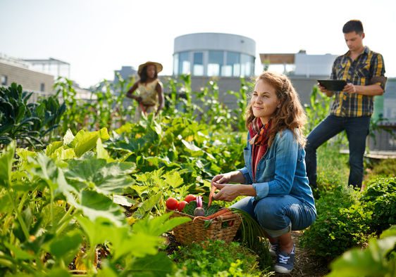 Community Gardens and Urban Agriculture