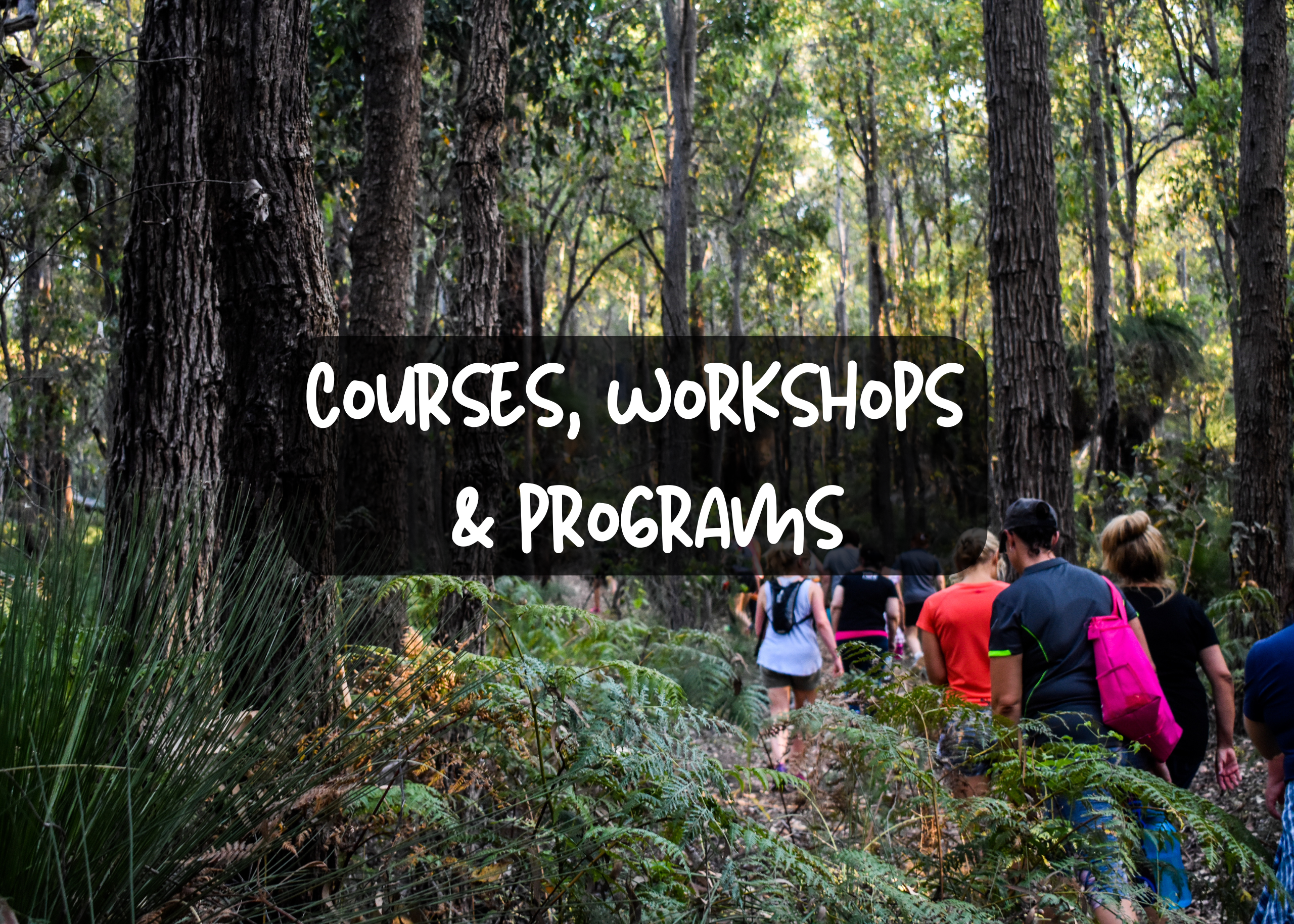 Courses, Workshops & Programs