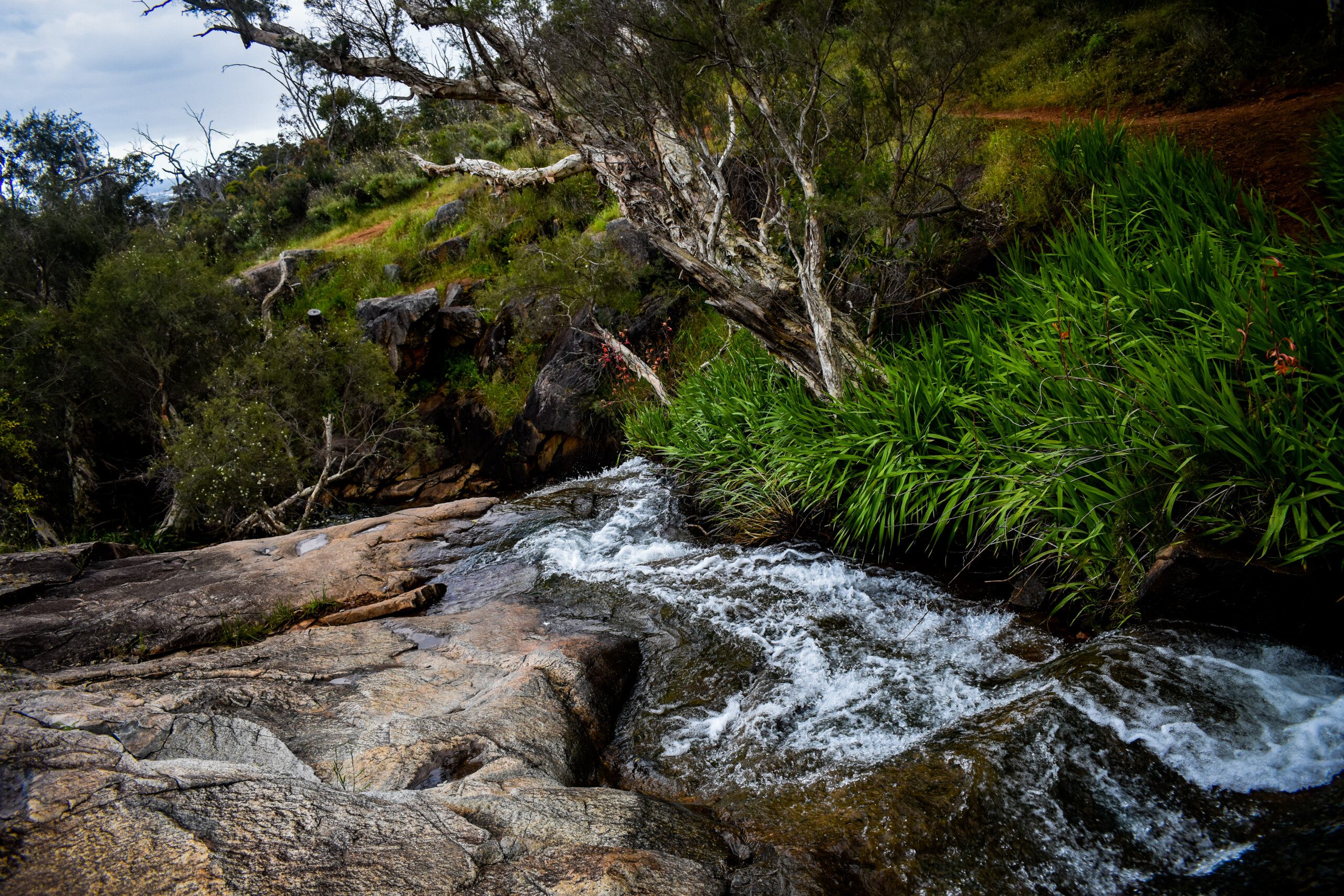 Whistlepipe Gully