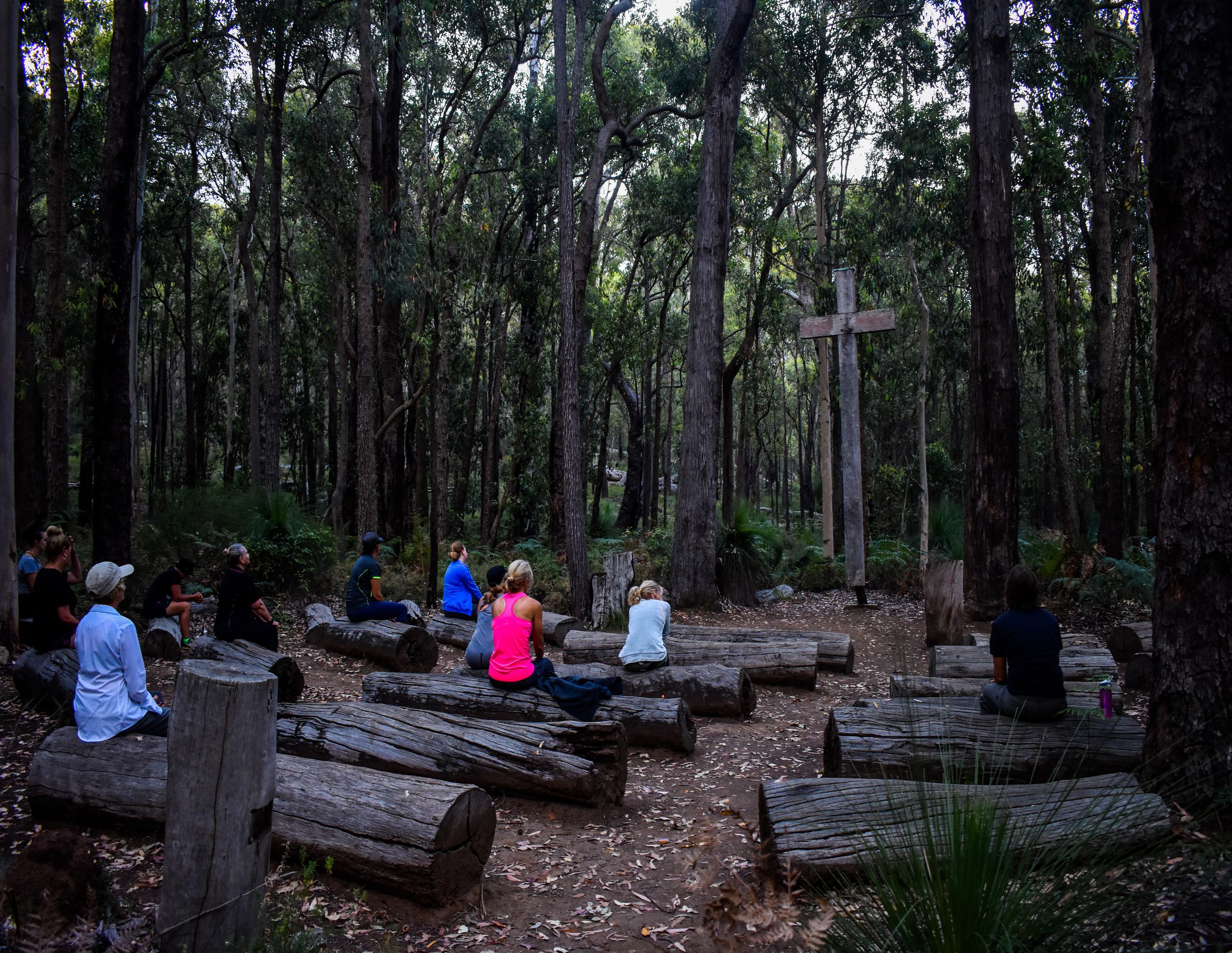 Forest Bathing