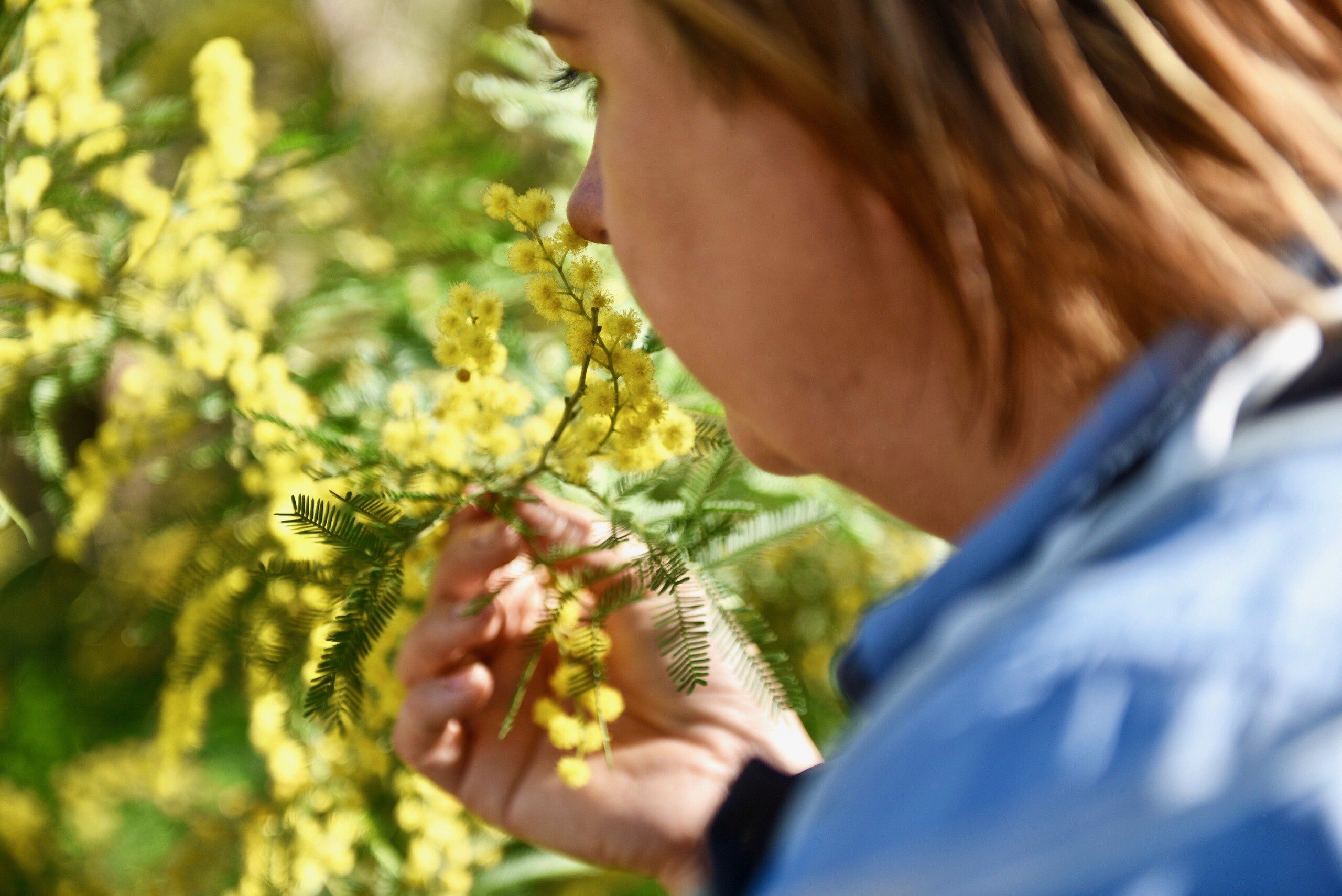 Spring