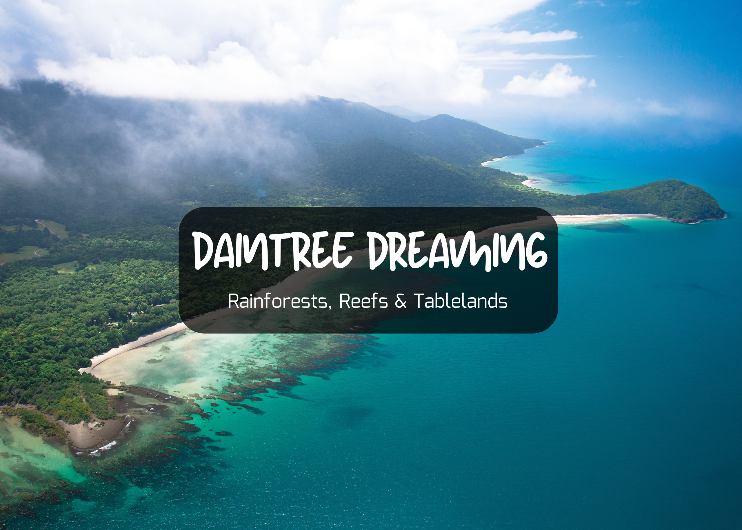 Daintree Dreaming