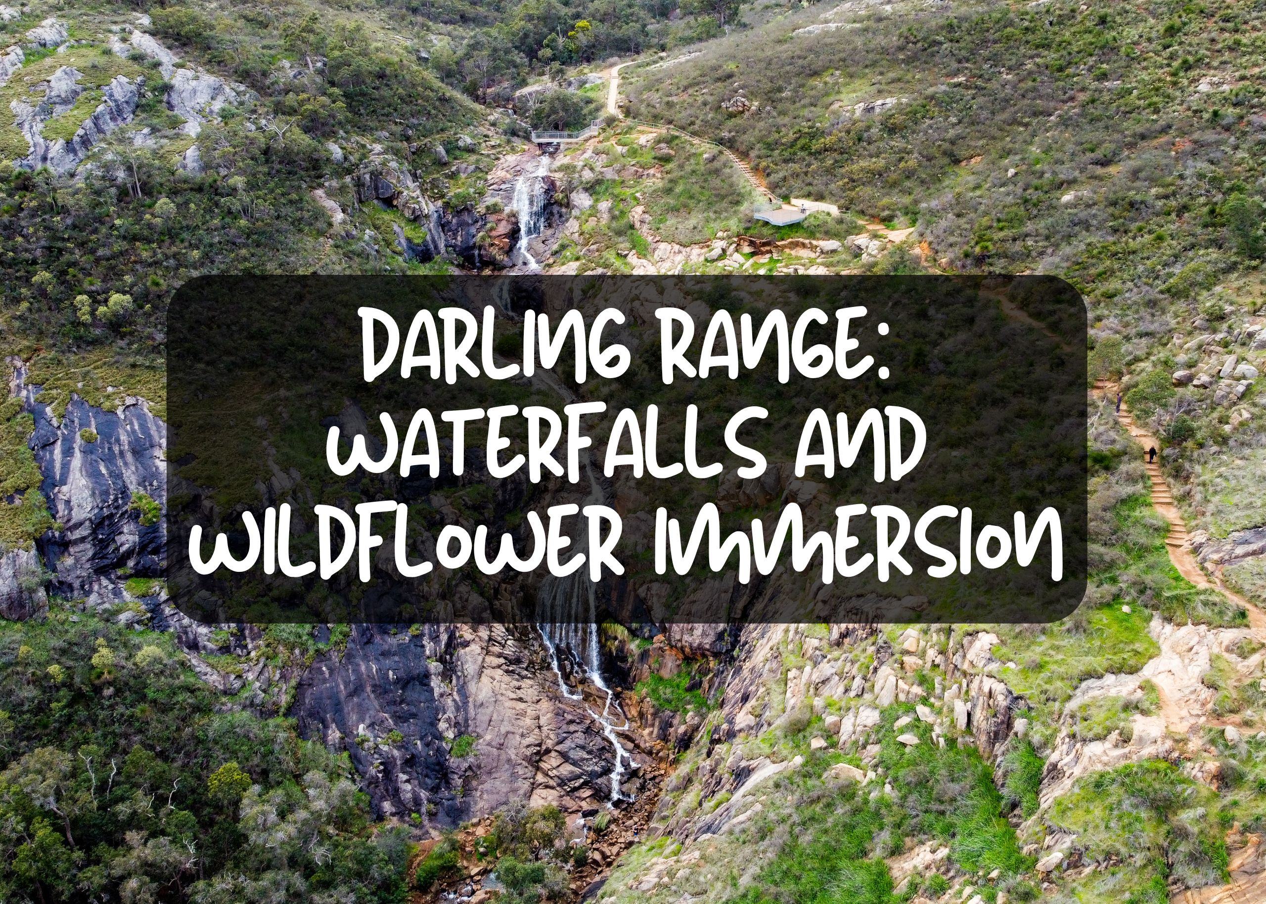 Darling Range Immersion (1)