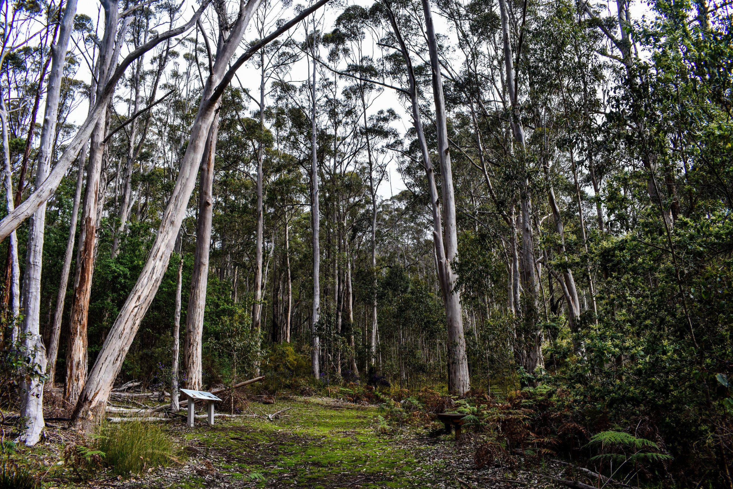 Porongurup