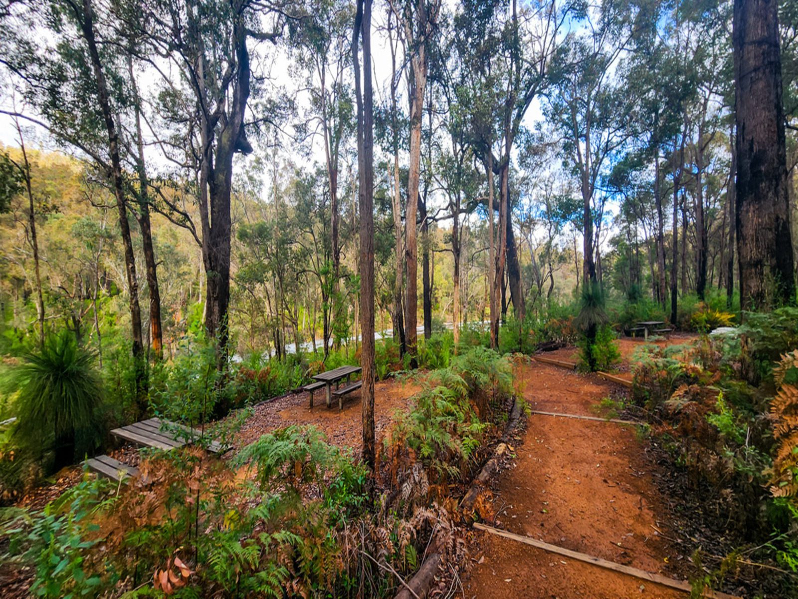 Down Under Discoveries - Island Pool Walk Trail