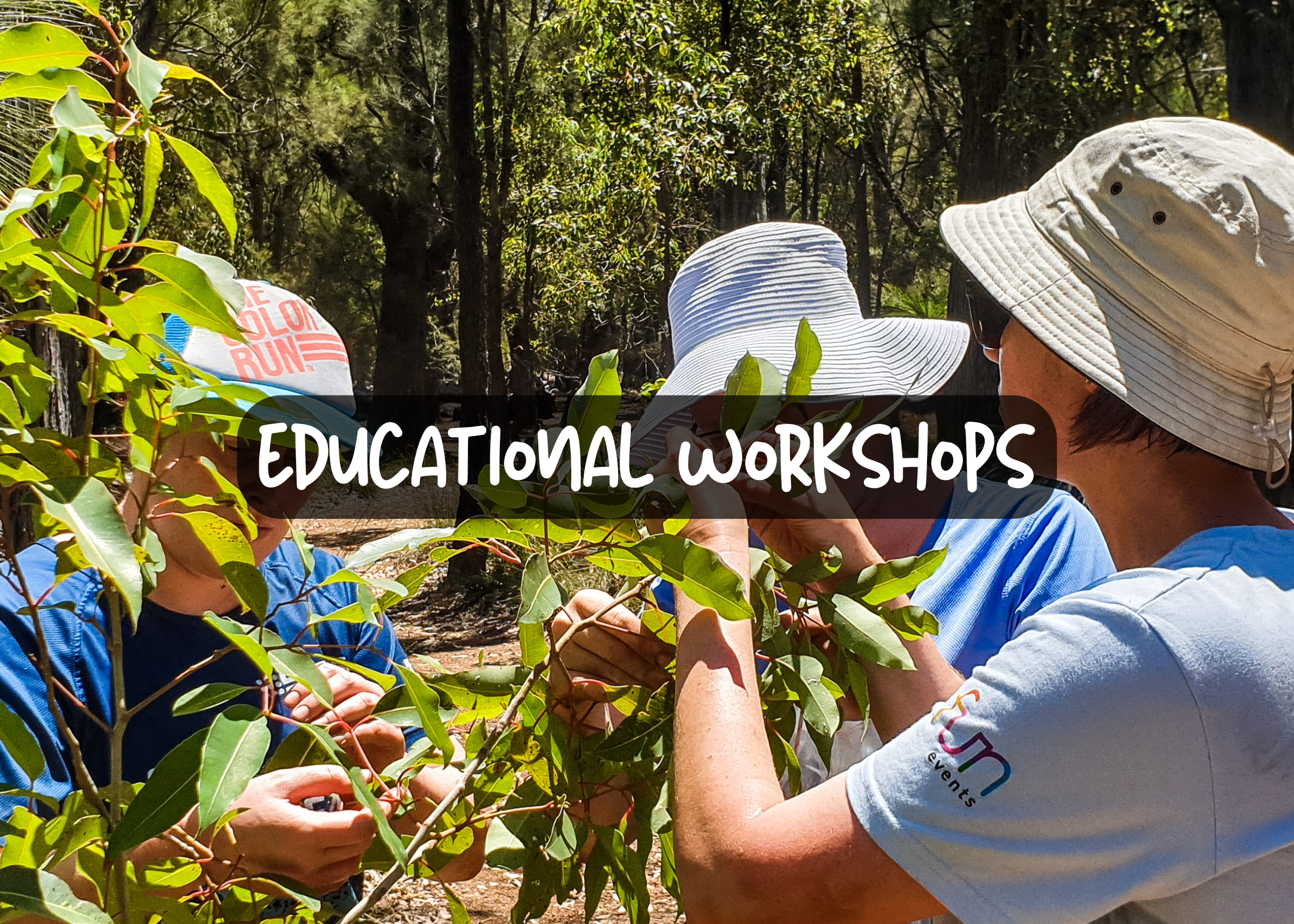 Educational Workshops