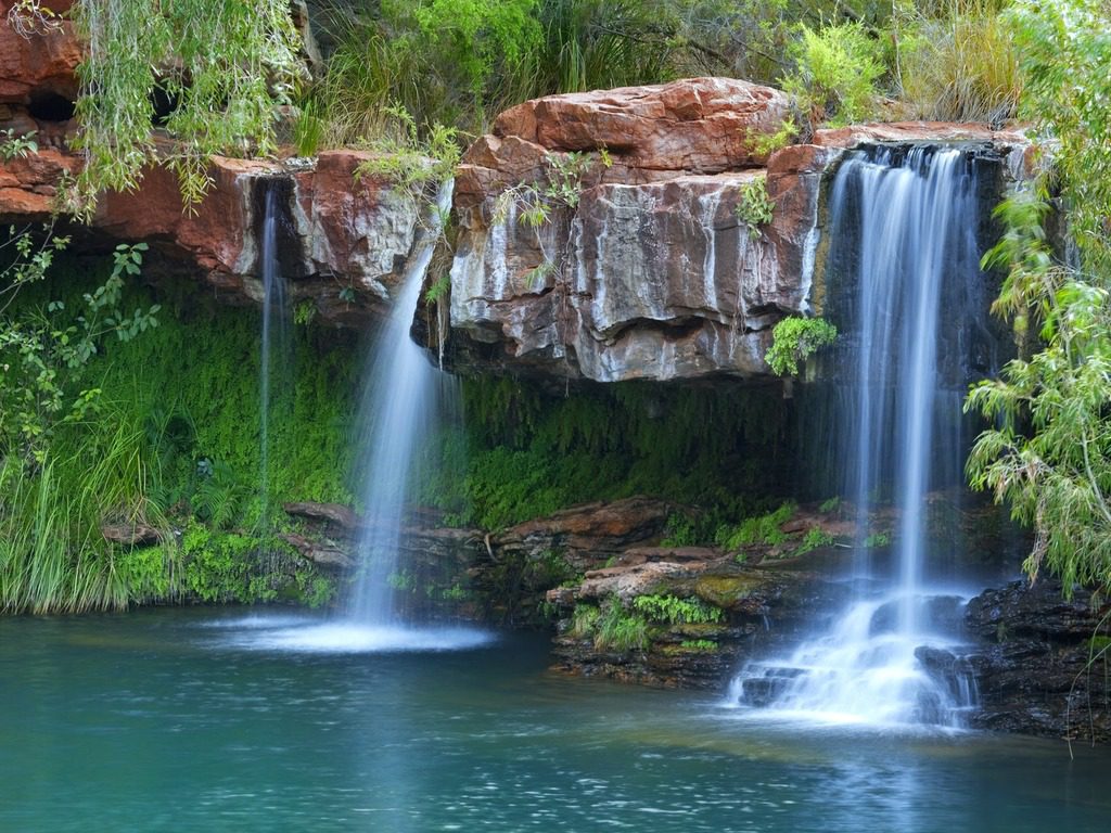 Fern Pool