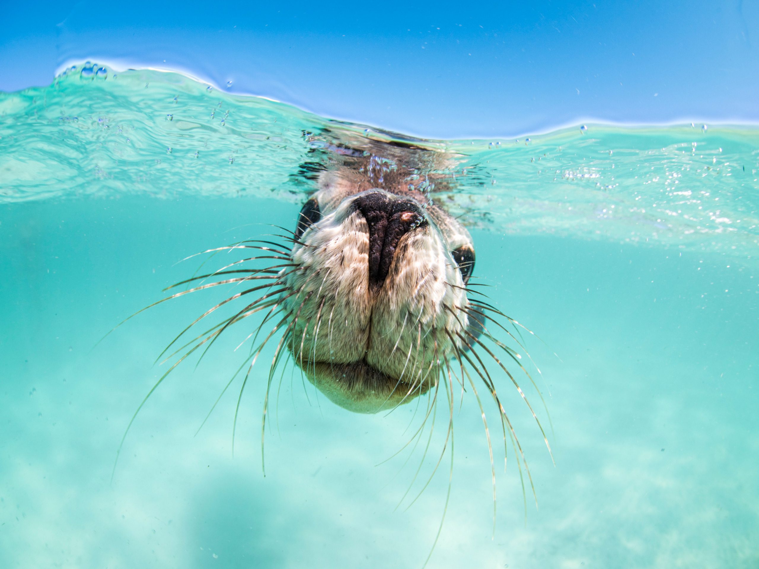 Jurien Bay