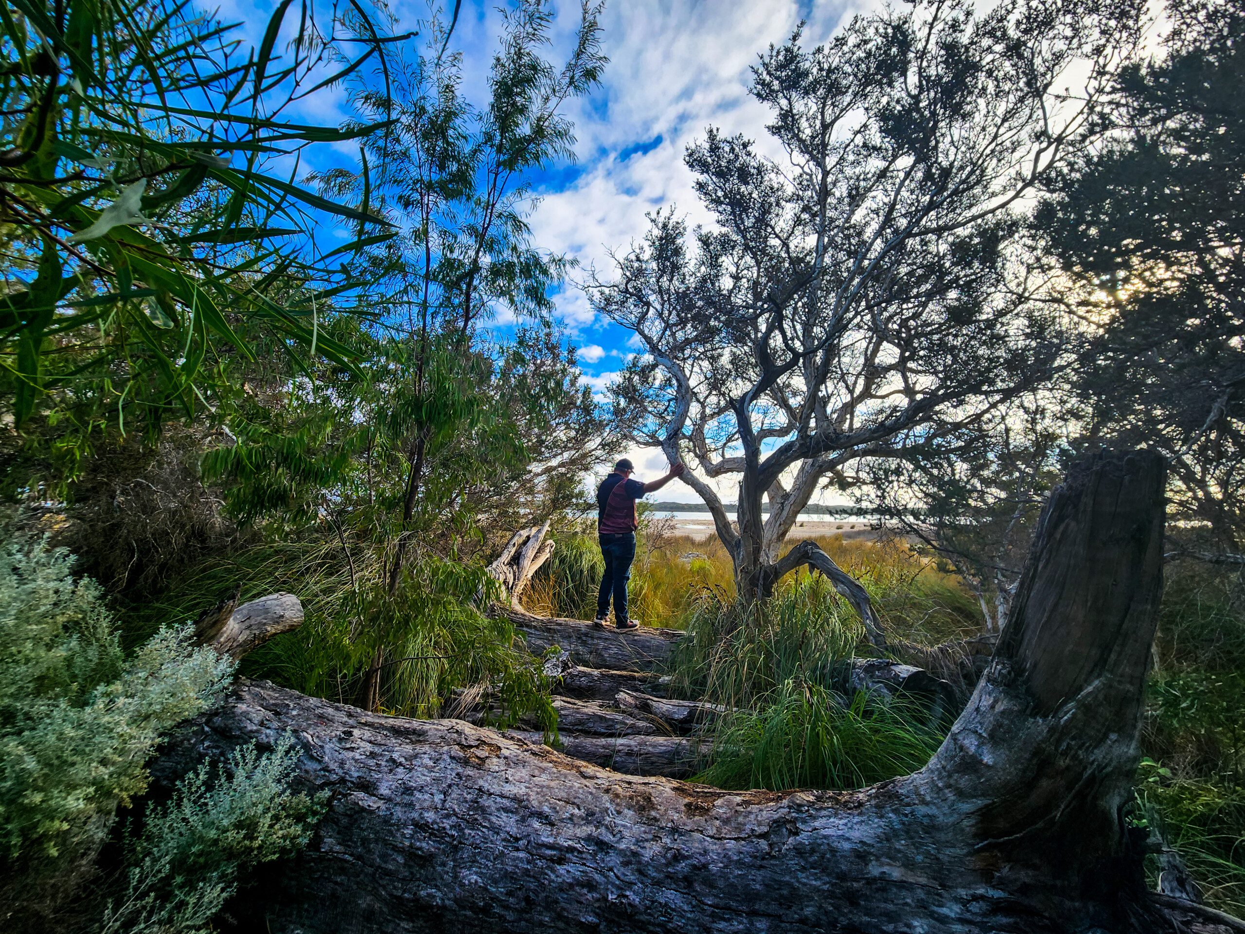 Lakeside Loop Trail, Lake Clifton