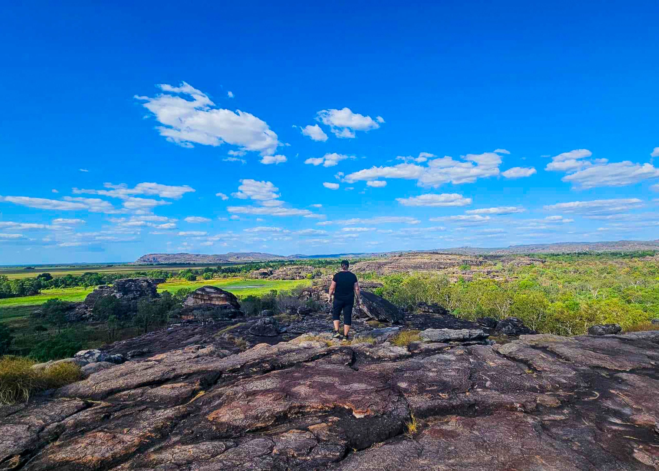 Kakadu