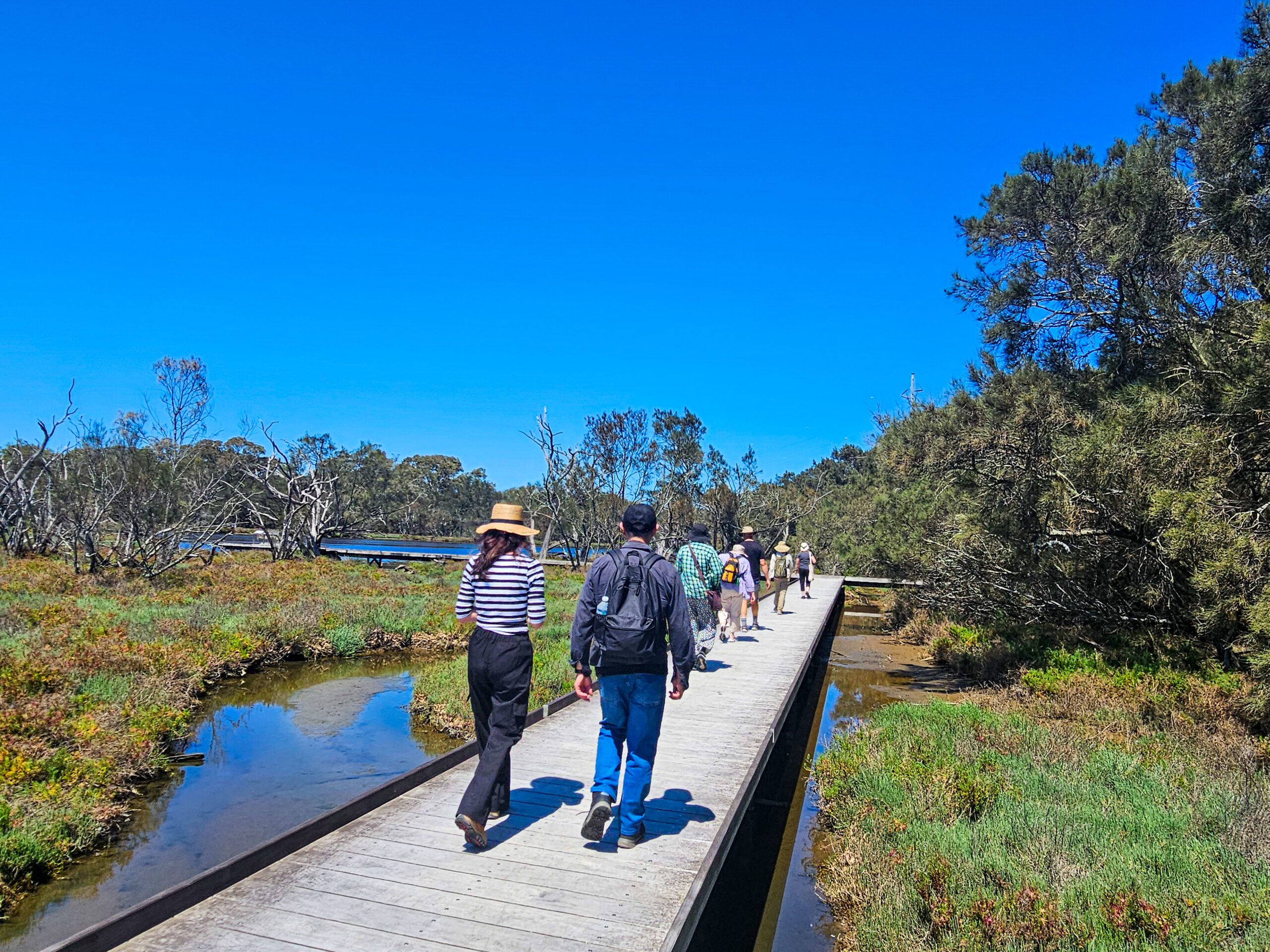 Mindful Trails Walking Tour