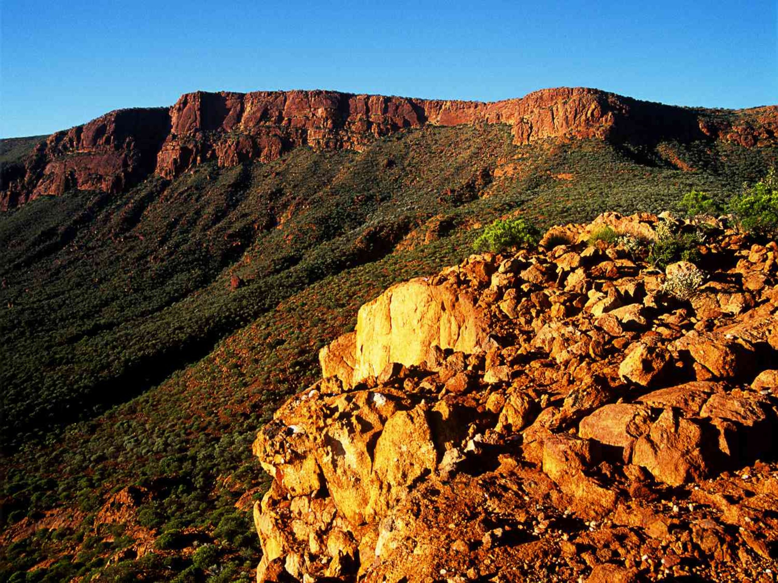 Mount Augustus