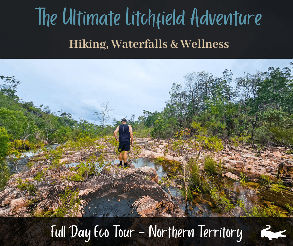 NT Ultimate Litchfield