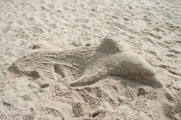 Sand Sculpture Dolphin