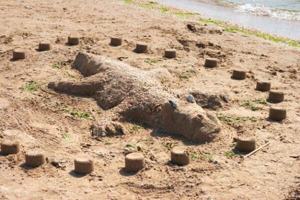 Sand Sculpture Lizard