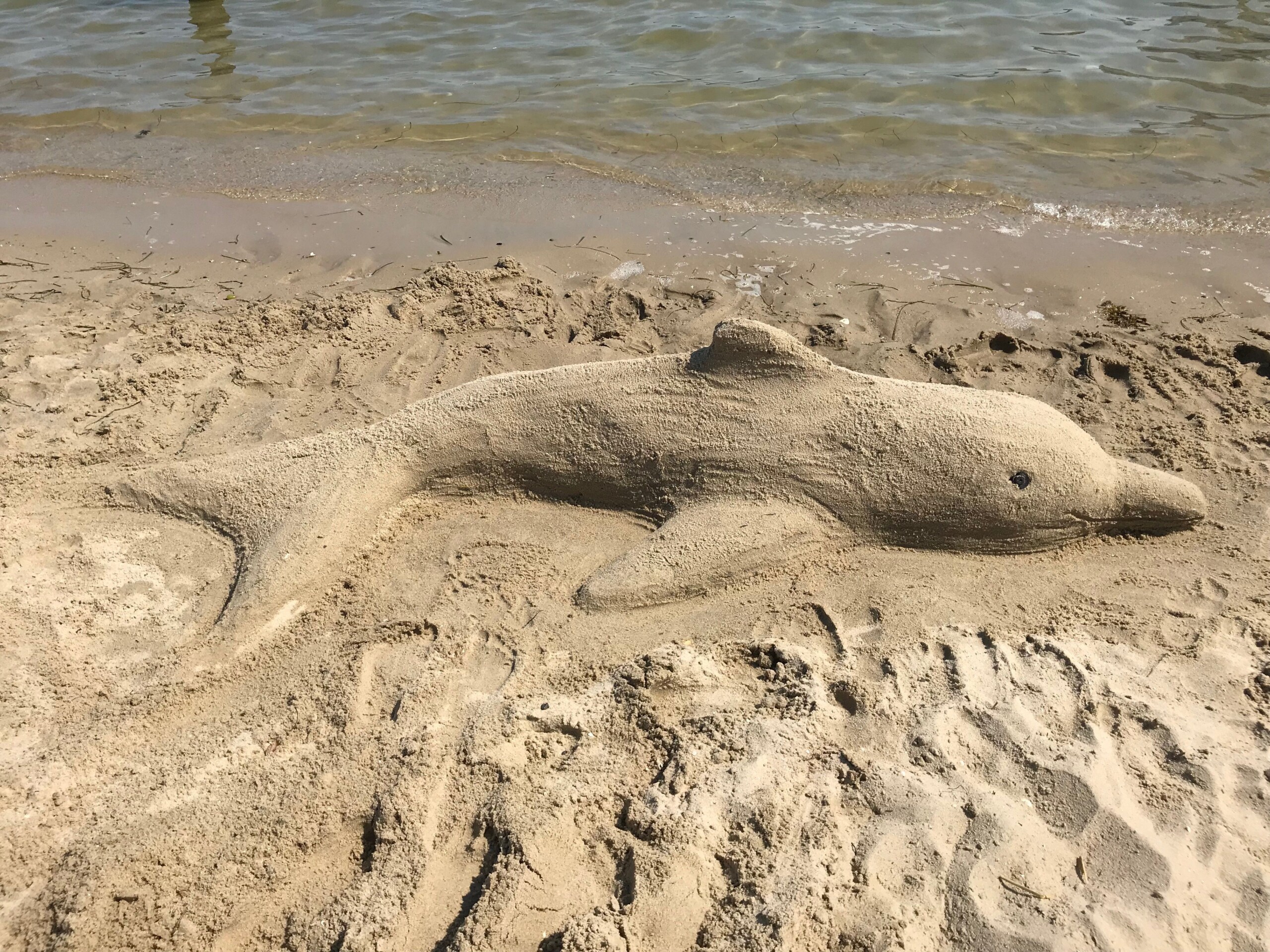 Sand Sculpture Marine Life