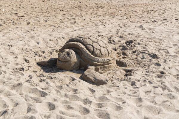 Sand Sculpture Turtle