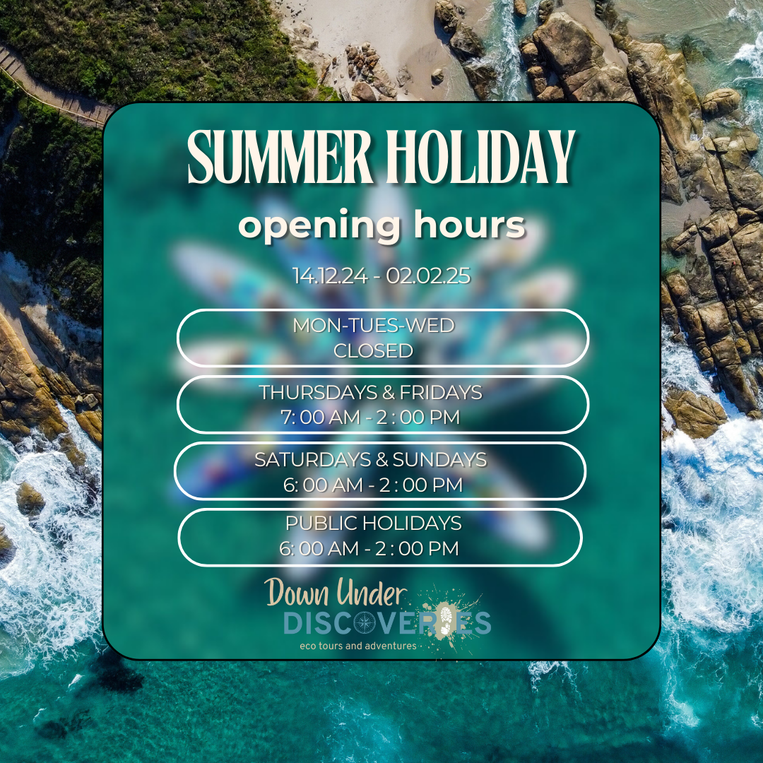 Summer Holiday Opening Hours