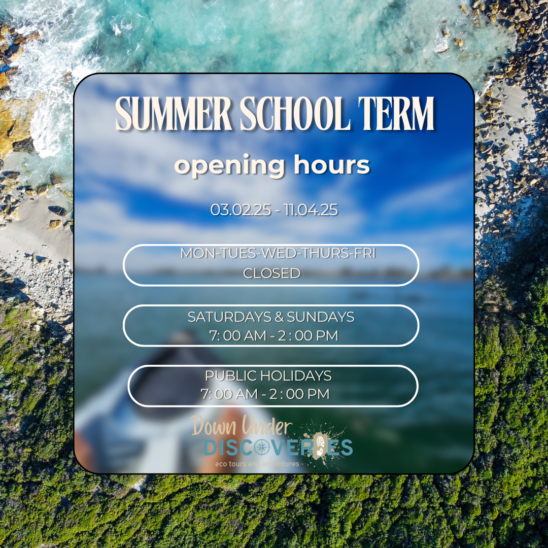 Summer School Term Opening Hours