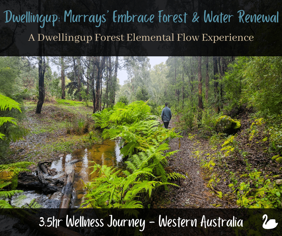 WA Dwellingup