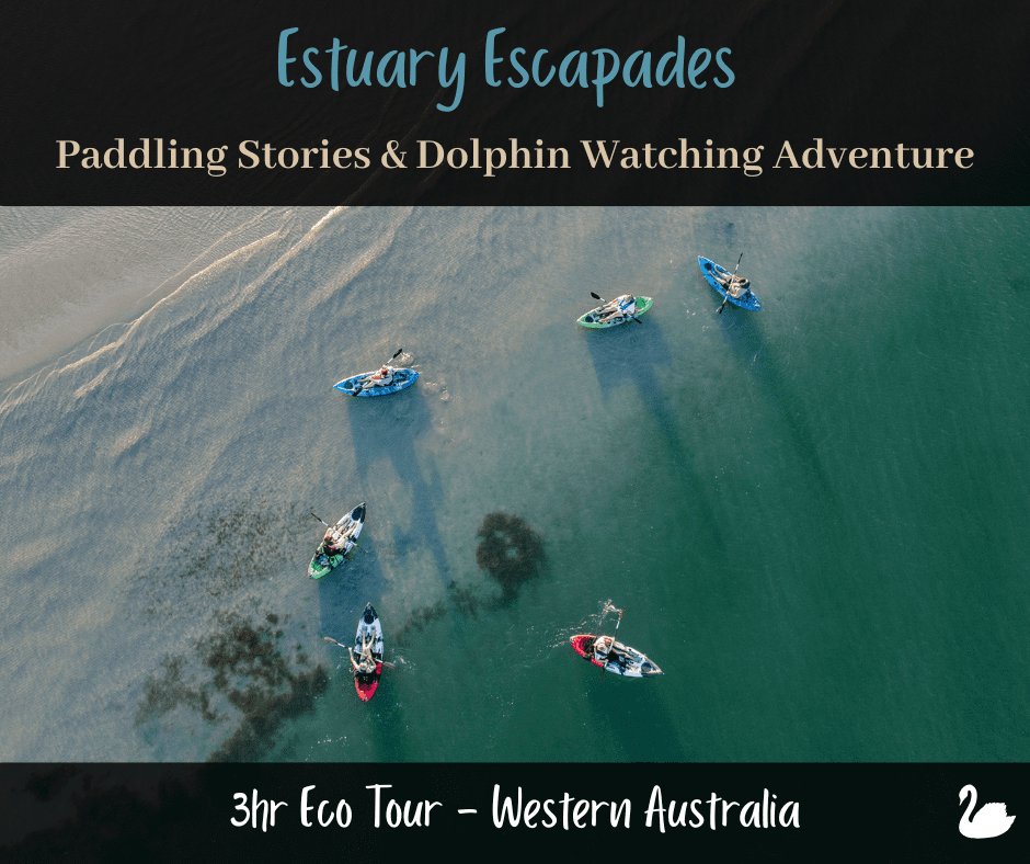 WA Estuary Escapades
