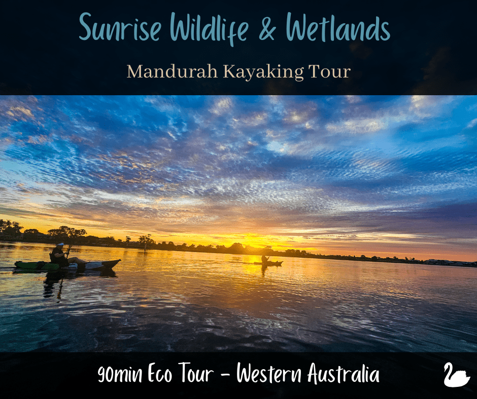 WA Sunrise Wildlife & Wetlands