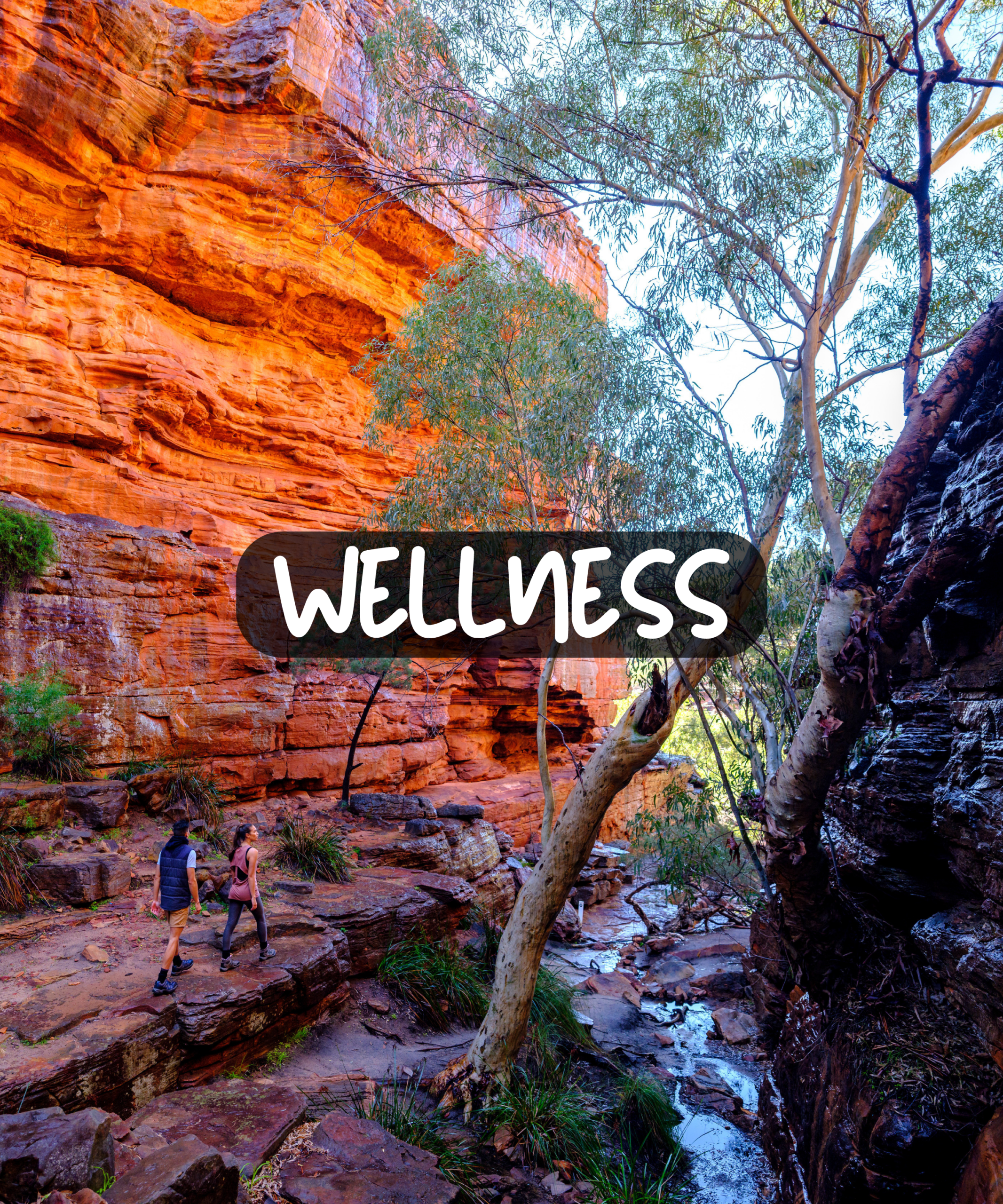 Down Under Discoveries - Wellness