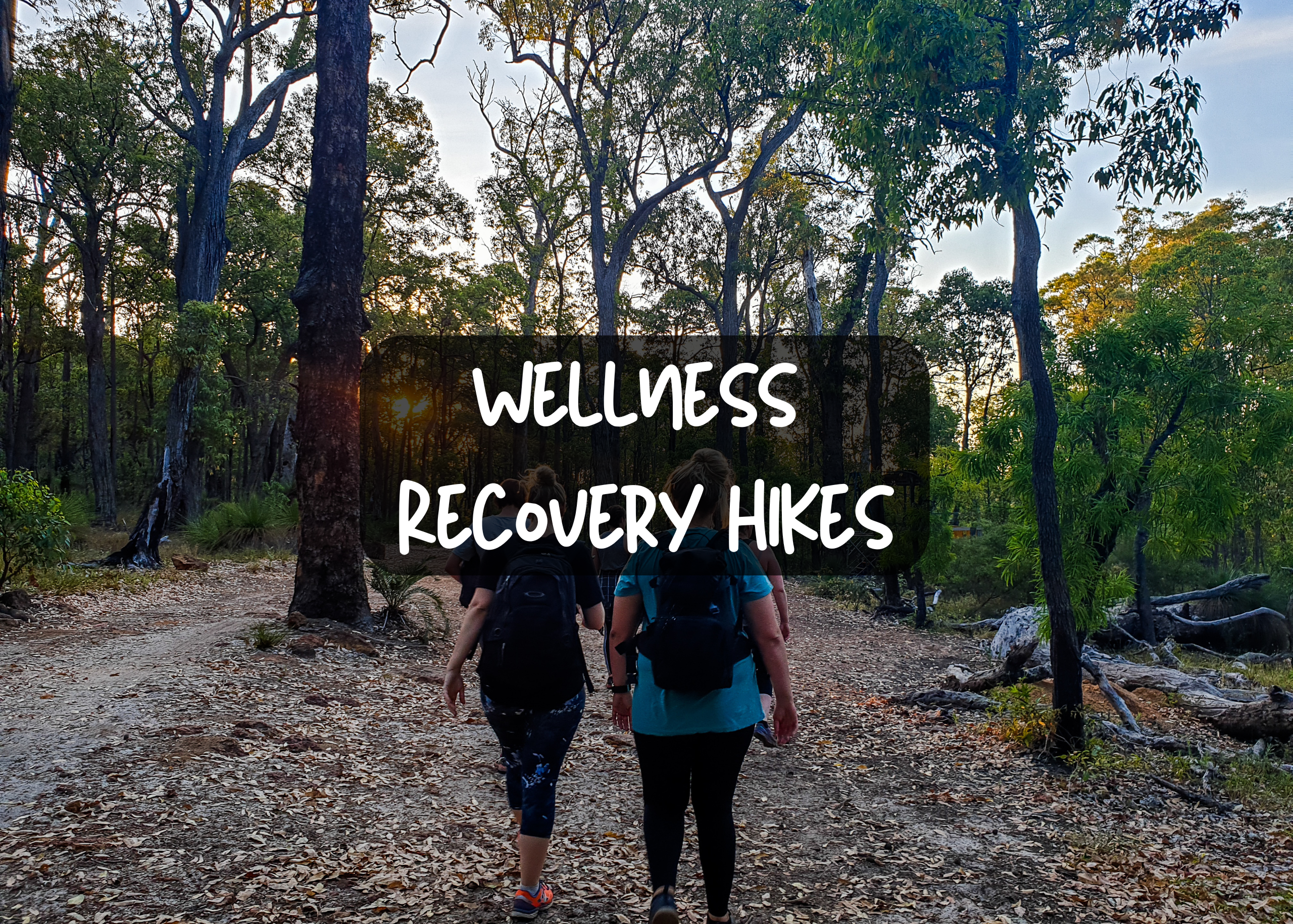 Wellness Recovery Hikes