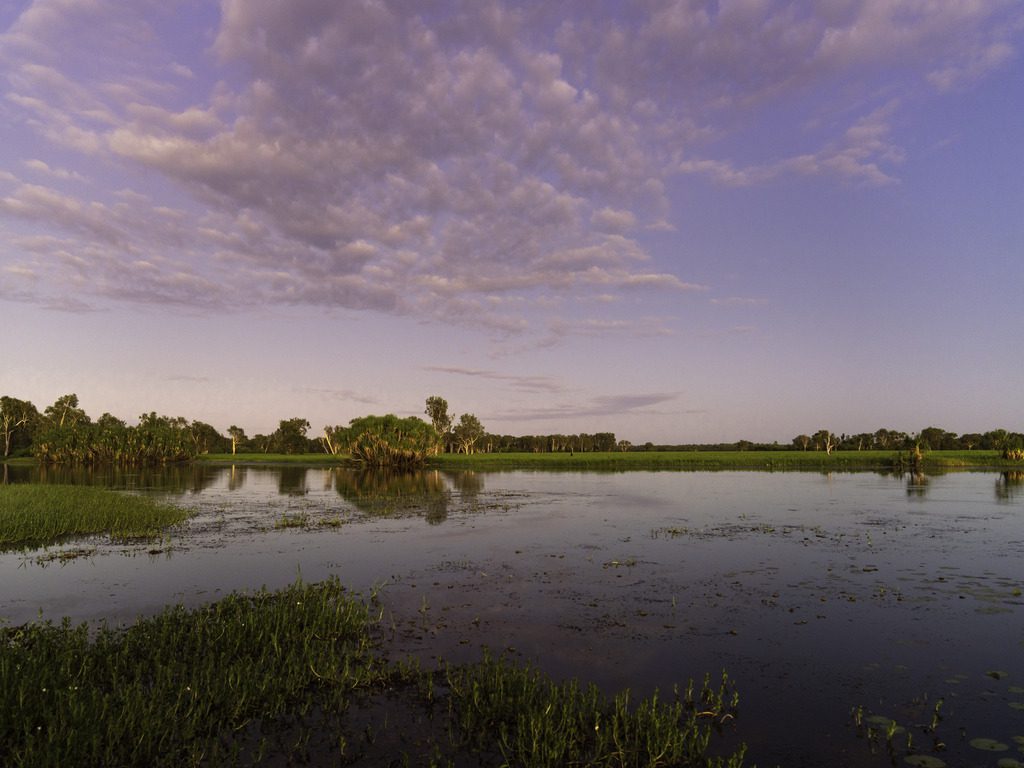 Yellow water cruise, Kakadu - Credit Tourism NT Tourism Australia (1)