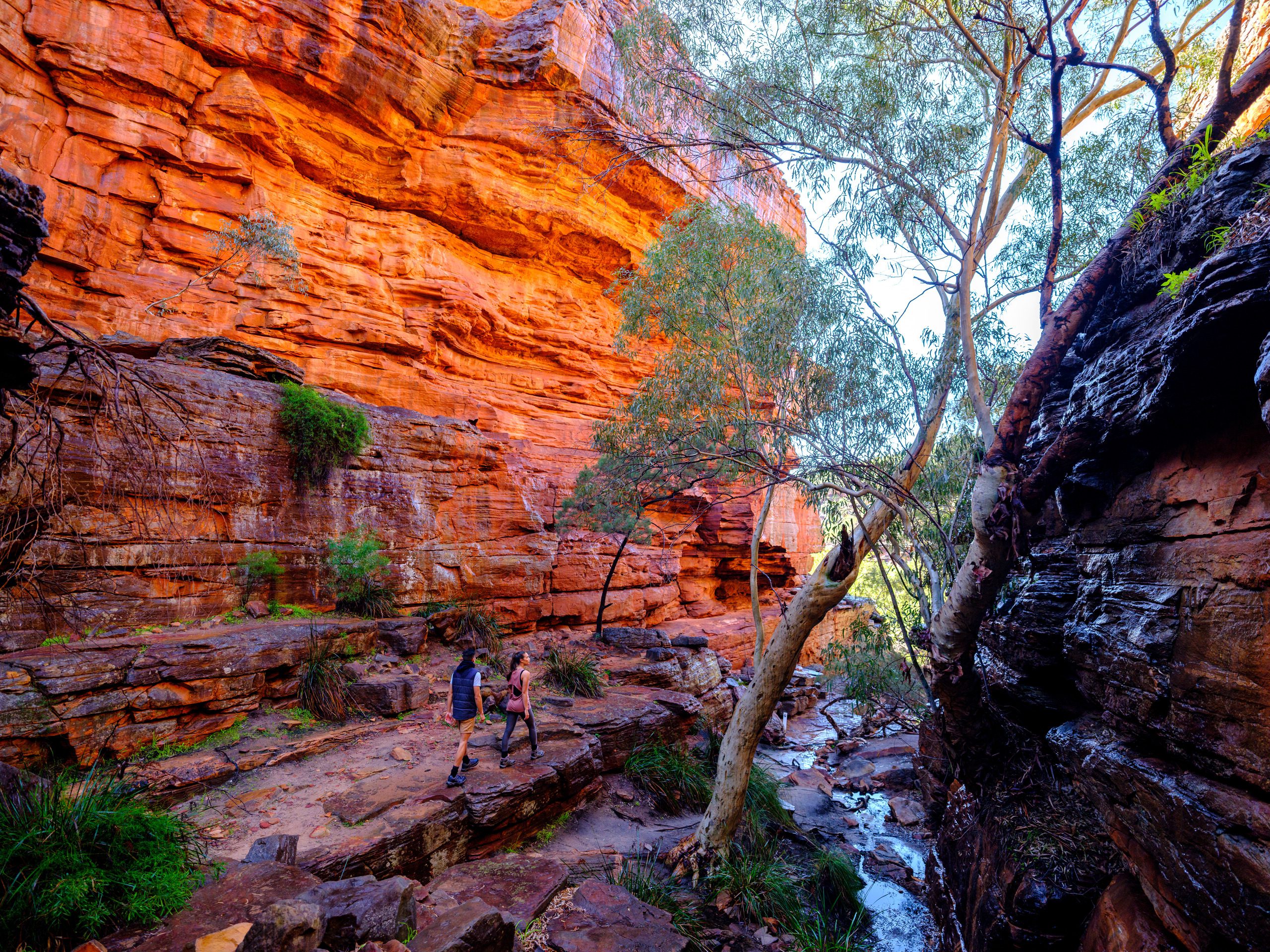 Z Bend River Trail, Kalbarri National Park - Credit Tourism Western Australia (2)