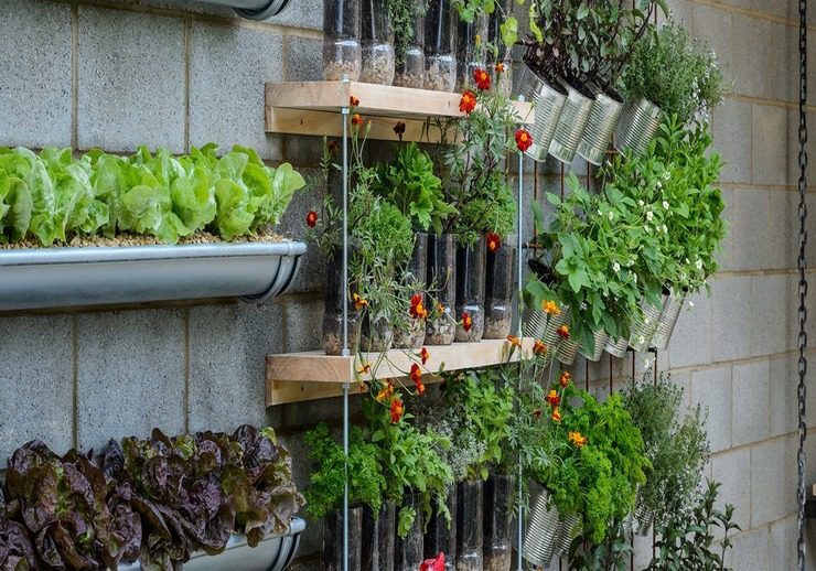 Sustainable Gardening