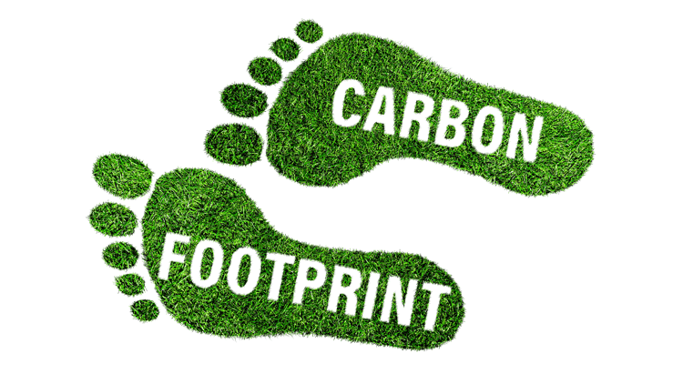 Offset Carbon Footprint